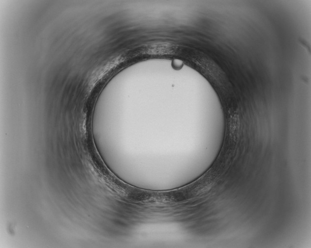 X0000100870727200807071102