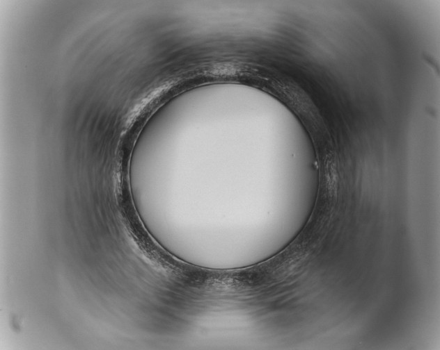 X0000100870728200807071102