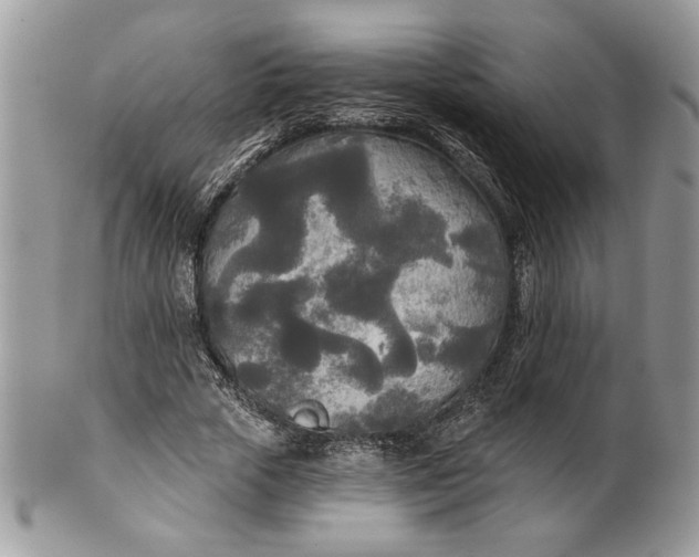 X0000100870729200807071102