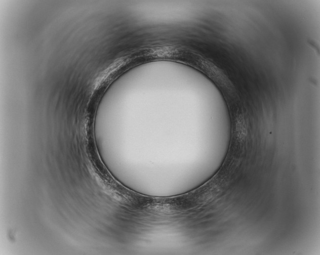 X0000100870730200807071102