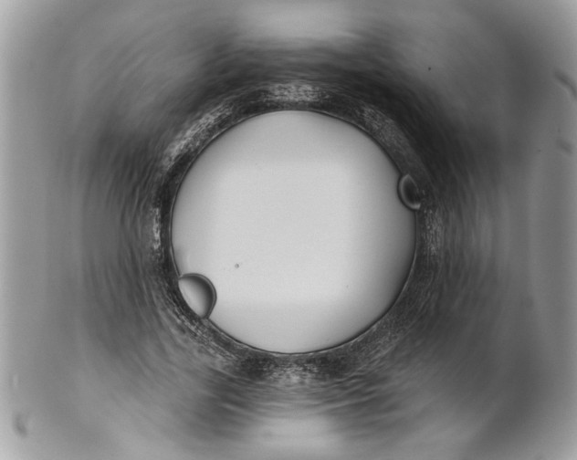 X0000100870731200807071102