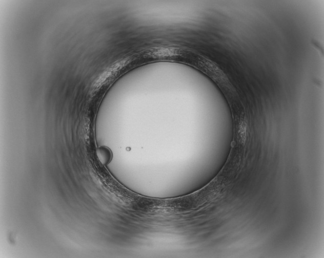 X0000100870732200807071102