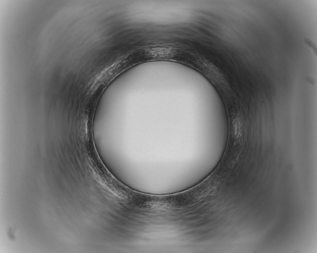 X0000100870733200807071102