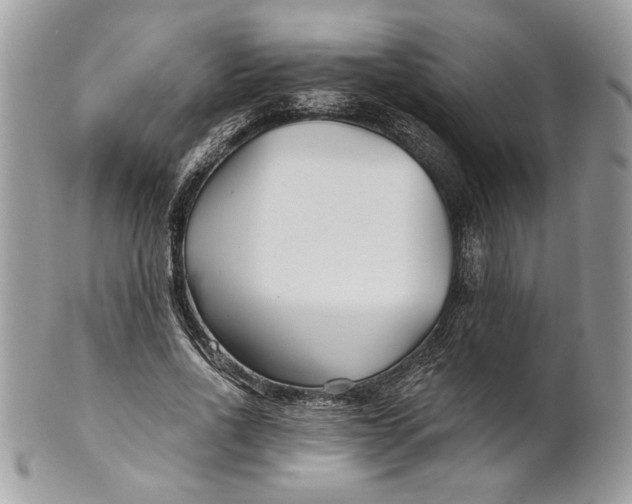 X0000100870734200807071102