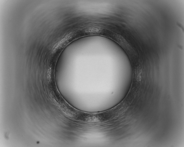 X0000100870735200807071102