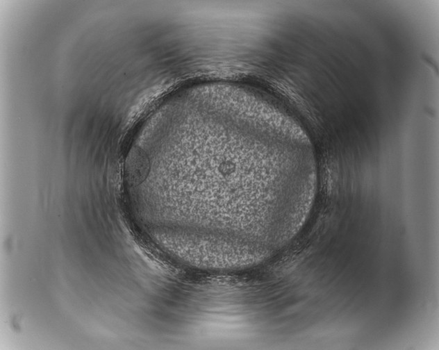 X0000100870736200807071102