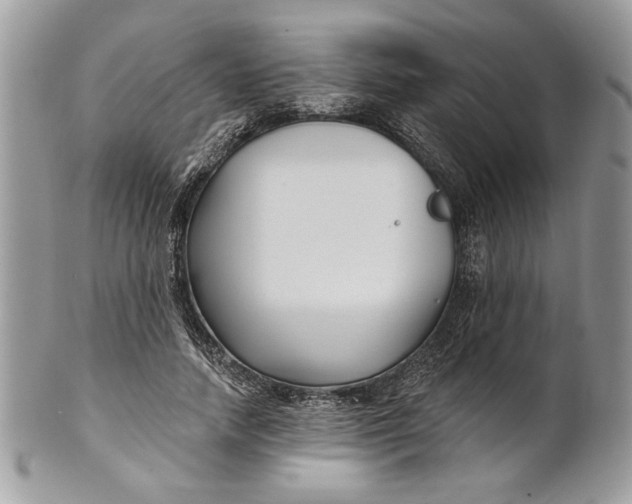 X0000100870738200807071102