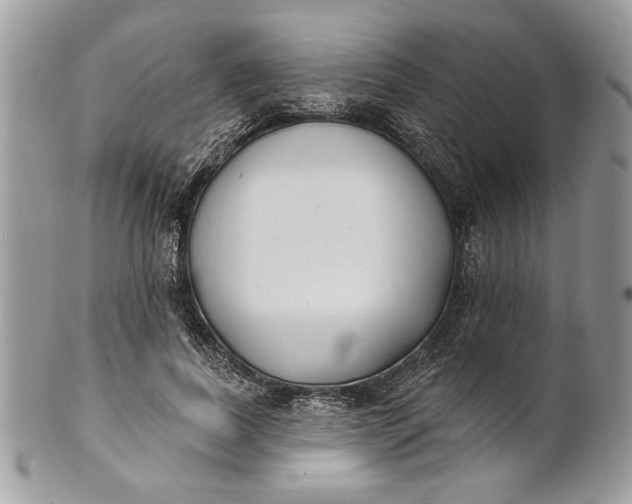 X0000100870739200807071102