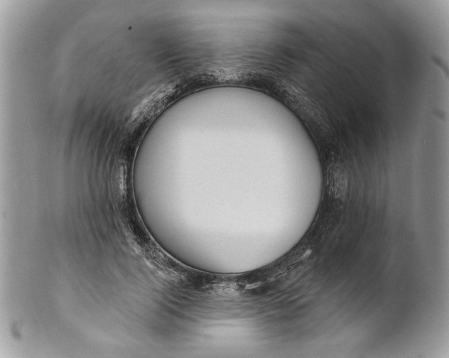 X0000100870740200807071102