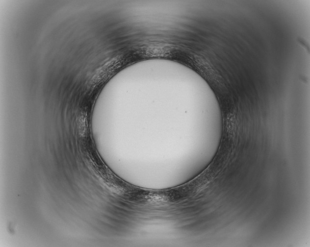 X0000100870741200807071102