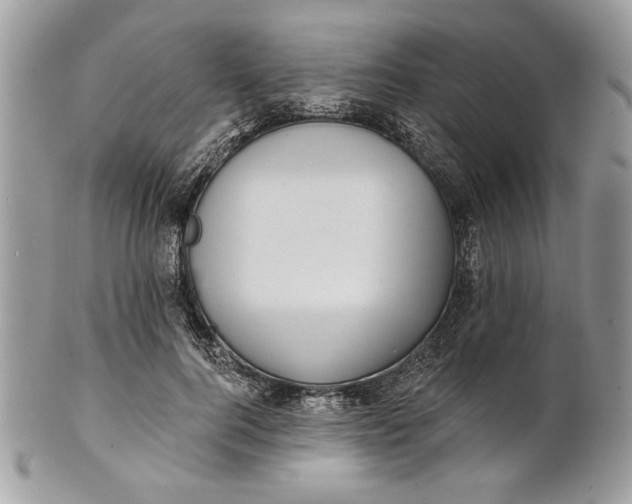 X0000100870744200807071102