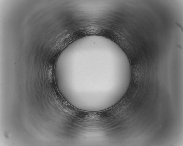 X0000100870745200807071102