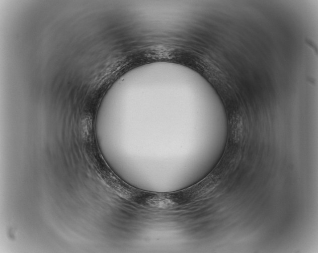 X0000100870747200807071102