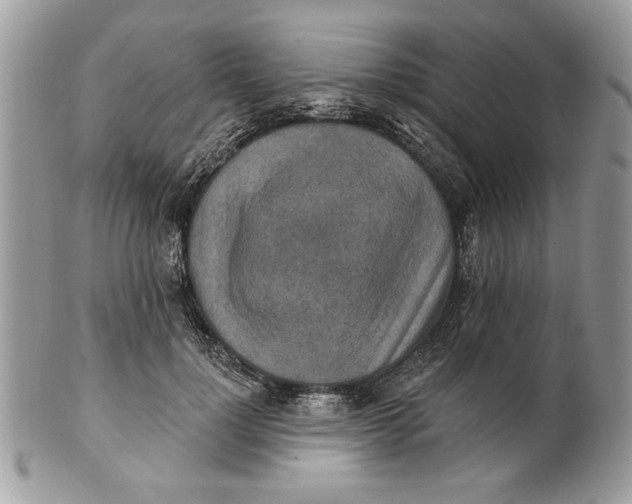 X0000100870748200807071102