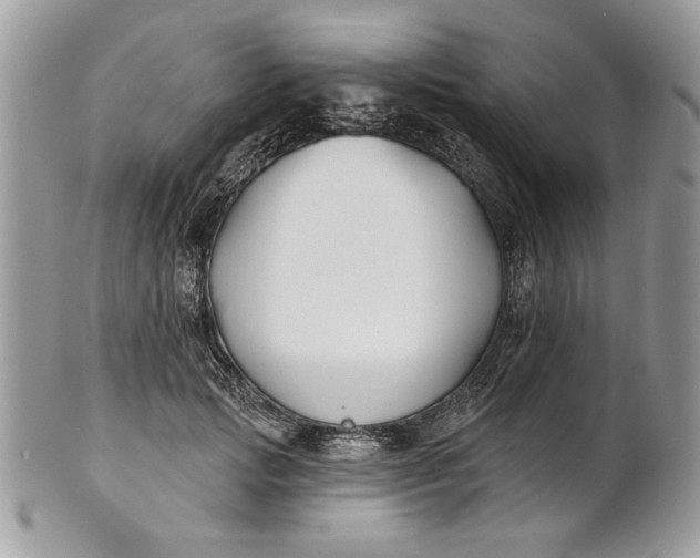 X0000100870749200807071102