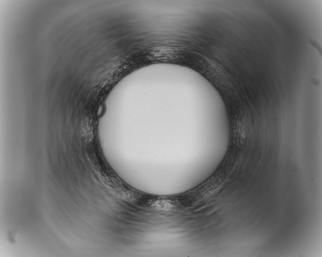 X0000100870751200807071102