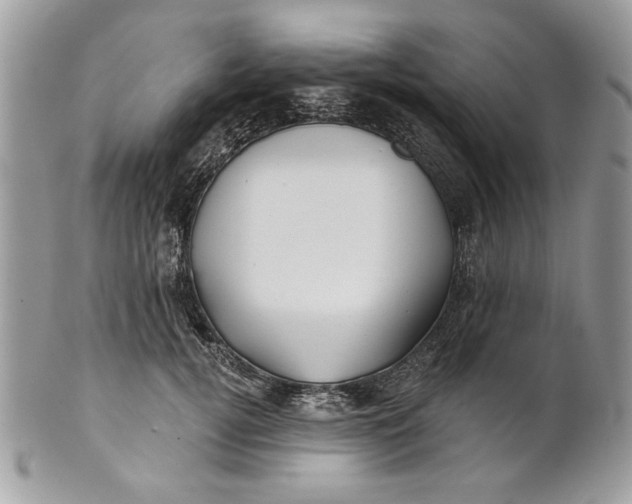 X0000100870752200807071102