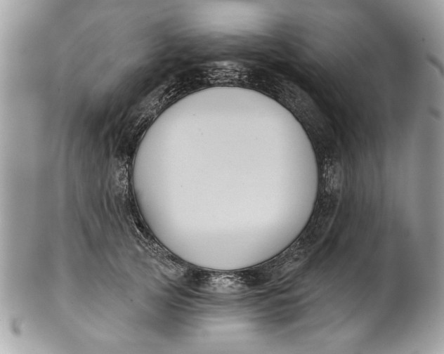 X0000100870753200807071102