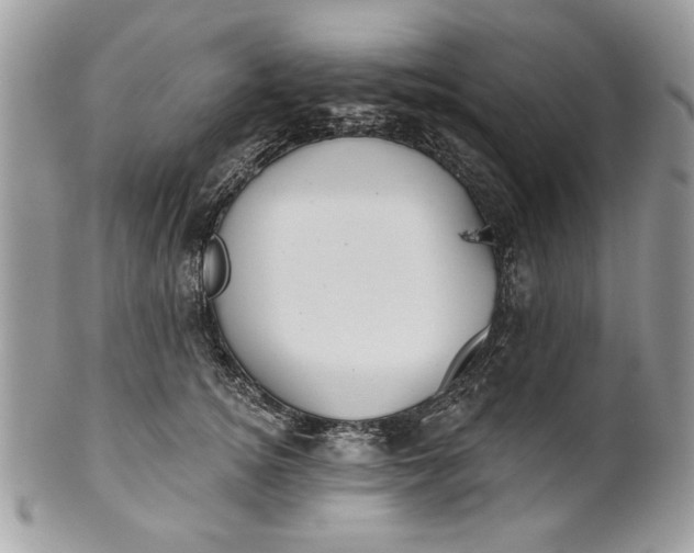 X0000100870756200807071102