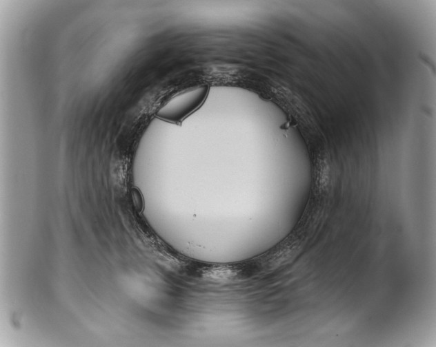 X0000100870759200807071102