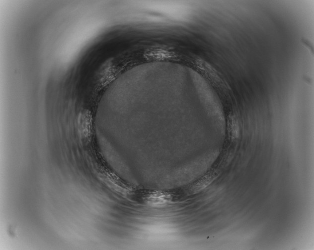 X0000100870760200807071102