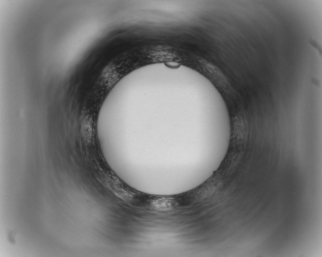 X0000100870761200807071102