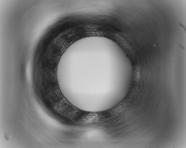 X0000100870764200807071102