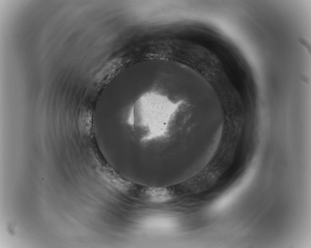 X0000100870767200807071102