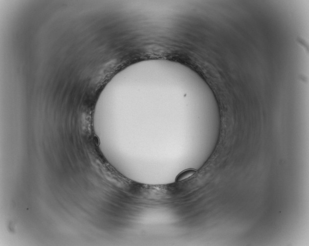 X0000100870768200807071102