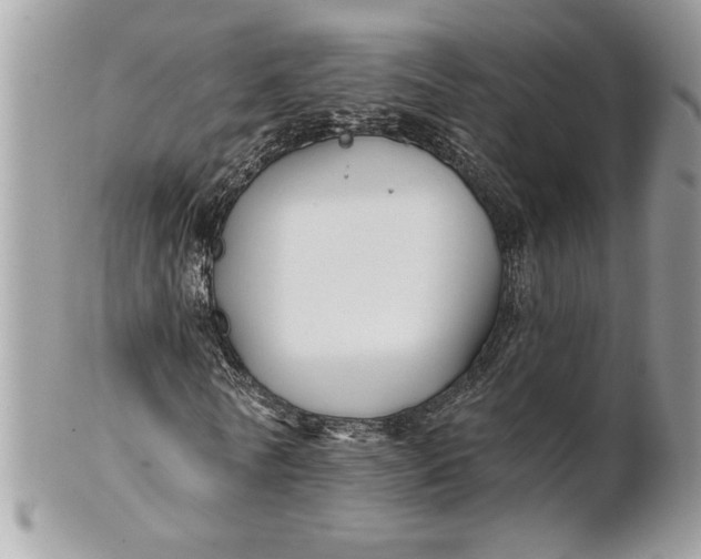 X0000100870770200807071102