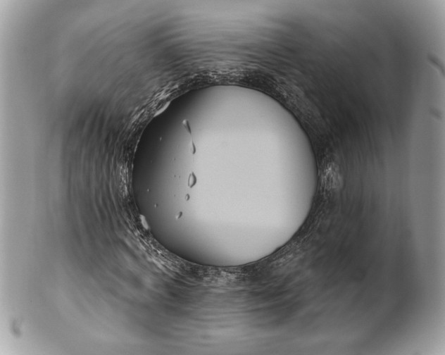 X0000100870772200807071102