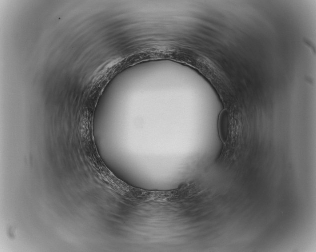 X0000100870773200807071102