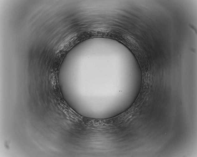 X0000100870774200807071102