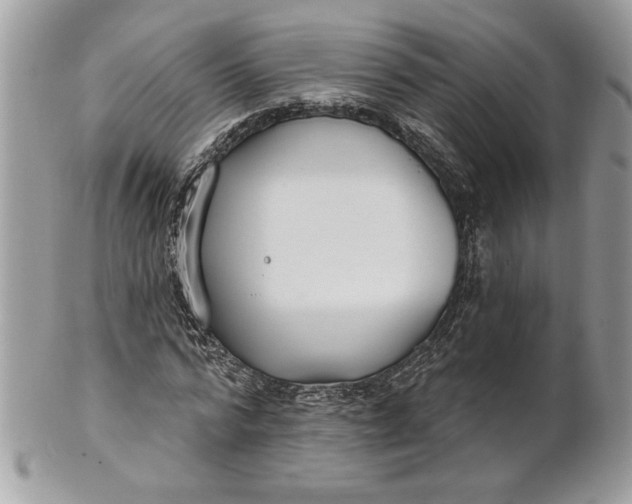 X0000100870776200807071102