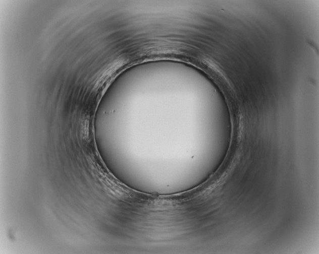 X0000100870777200807071102