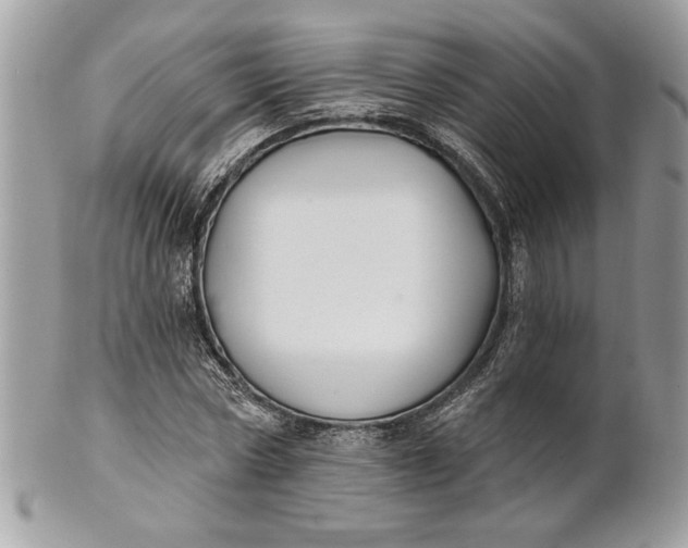 X0000100870778200807071102