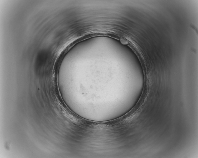 X0000100870779200807071101