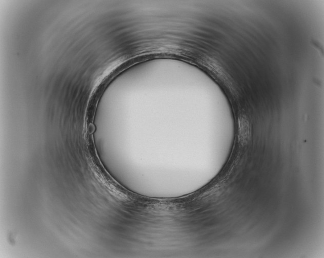 X0000100870780200807071101