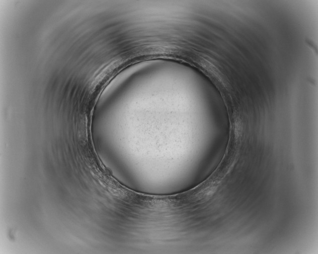 X0000100870781200807071101