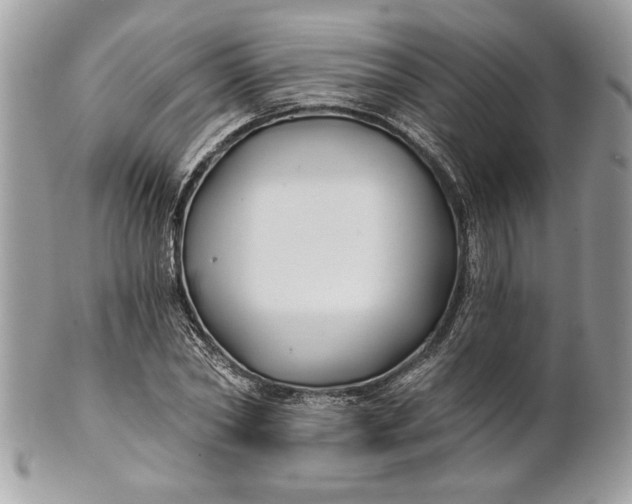 X0000100870782200807071101