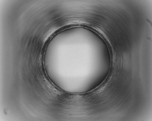 X0000100870783200807071101