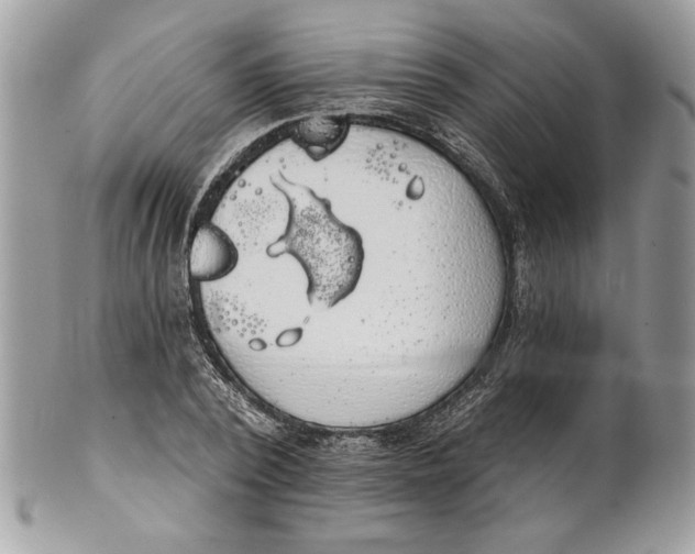 X0000100870784200807071101