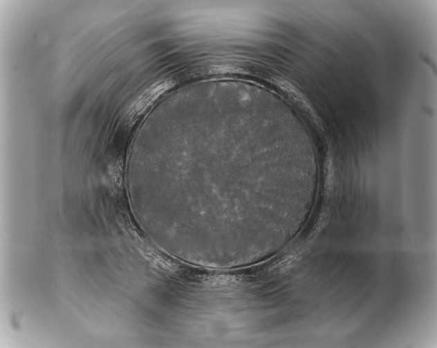 X0000100870785200807071101