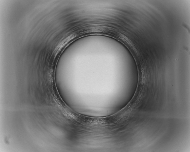 X0000100870786200807071101