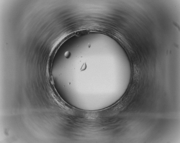 X0000100870788200807071101