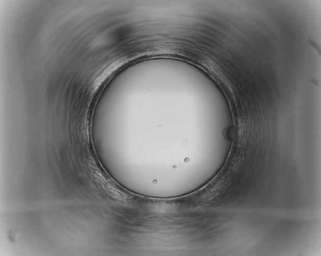 X0000100870789200807071101