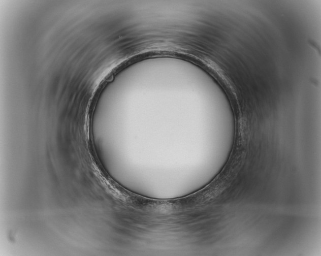 X0000100870791200807071101