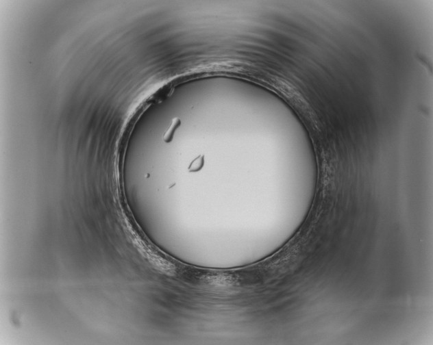 X0000100870792200807071101