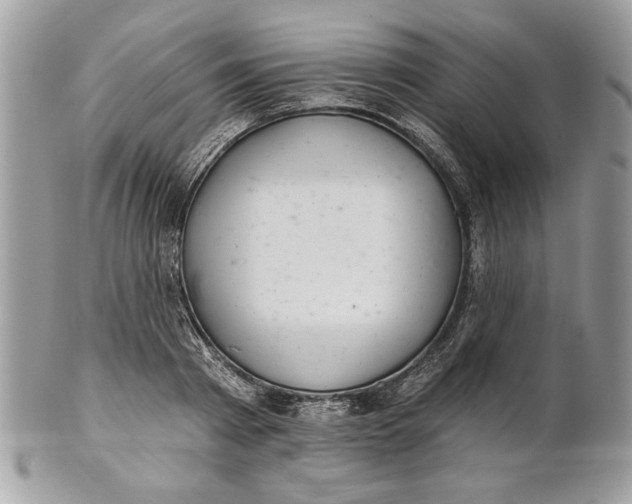 X0000100870793200807071101