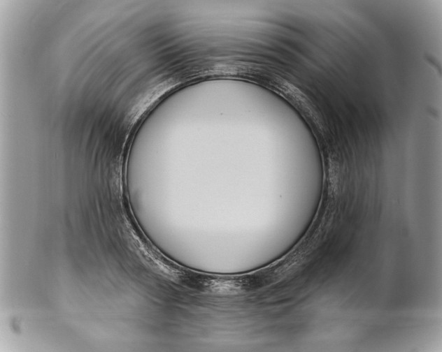 X0000100870794200807071101